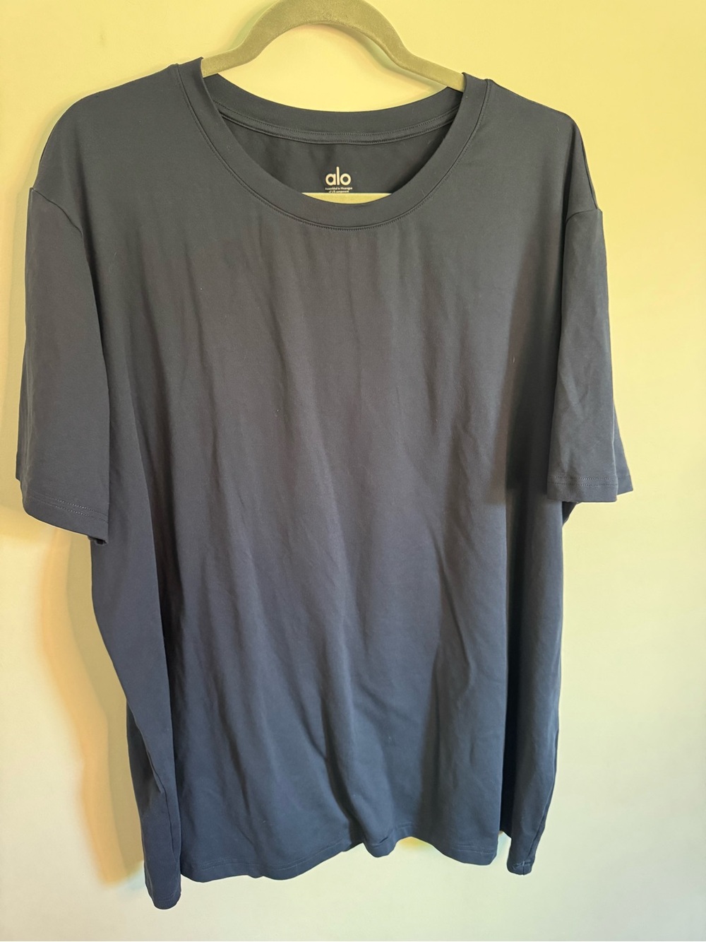ALO Yoga Men's Short Sleeve Crew Tee in Slate 2XL